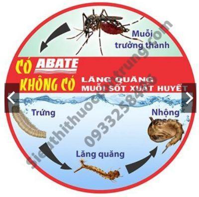 Thuốc diệt bọ gậy ( Lăng Quăng) ABATE 1SG