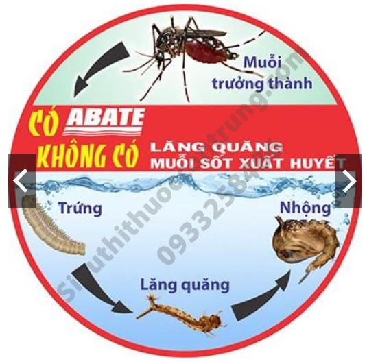 Thuốc diệt bọ gậy ( Lăng Quăng) ABATE 1SG