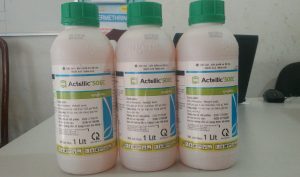 Thuốc diệt mọt ACTELLIC 50EC