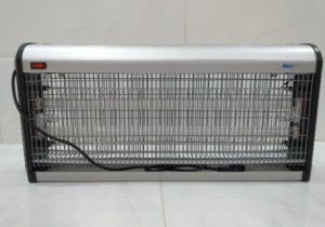 maxx 150