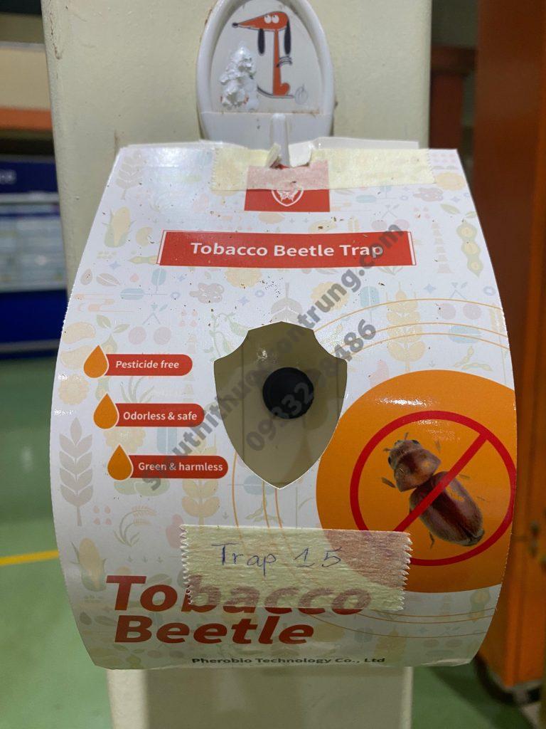 Bẫy bọ thuốc lá Tobacco Beetle Trap