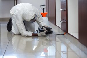 dịch vụ diệt mối uy tín Tại TP HCM