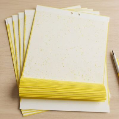 Tấm keo vàng bẫy côn trùng 2 mặt 20x25